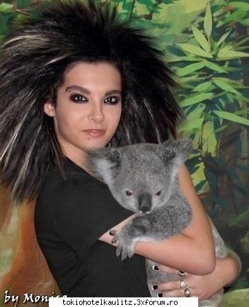 funny - aici trebuie sa puneti poze si comentarii haioase - Bill Kaulitz
